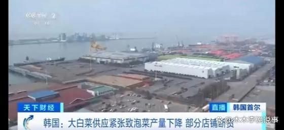 涨限购断货疯狂进口中国大白菜AG真人国际厅韩国泡菜价格猛(图1)