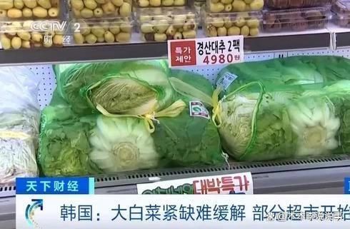 涨限购断货疯狂进口中国大白菜AG真人国际厅韩国泡菜价格猛(图2)