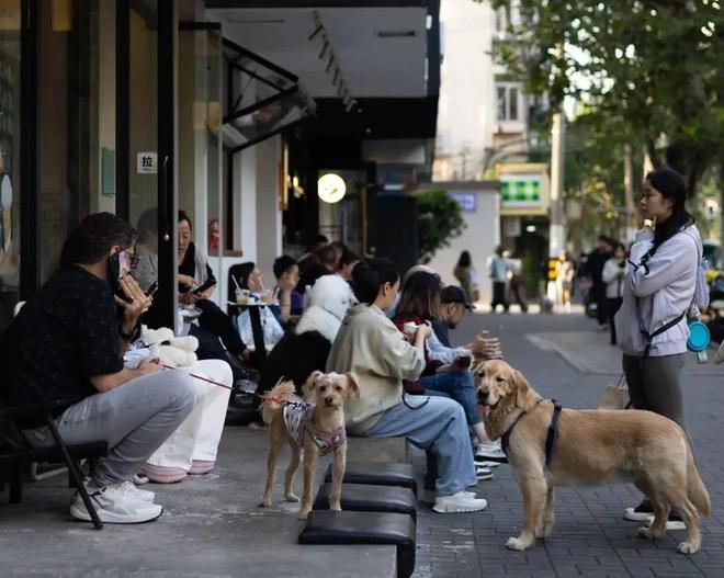弃了双11爱上了“老年严选”AG真人中国这届脆皮年轻人抛(图12)