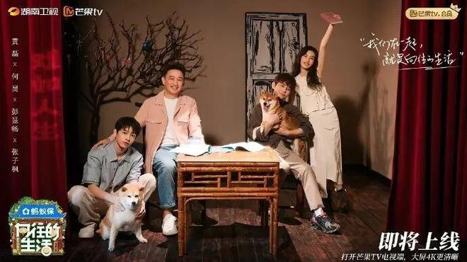 花学”“淡”得让人心动！AG真人百家家乐平台新“(图7)