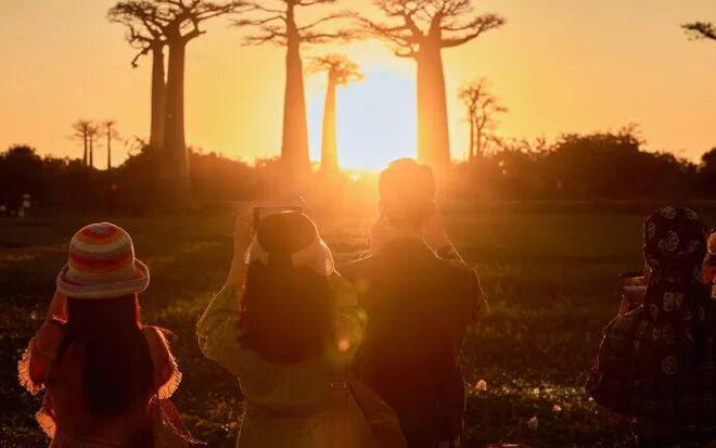 花学”“淡”得让人心动！AG真人百家家乐平台新“(图8)